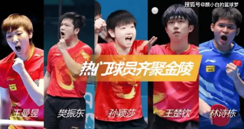 樊振东将缺席乒超总决赛？全运会1金1银已记大功 专心备战德甲/欧冠